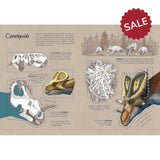 The World of Dinosaurs: Lift the Flap Book