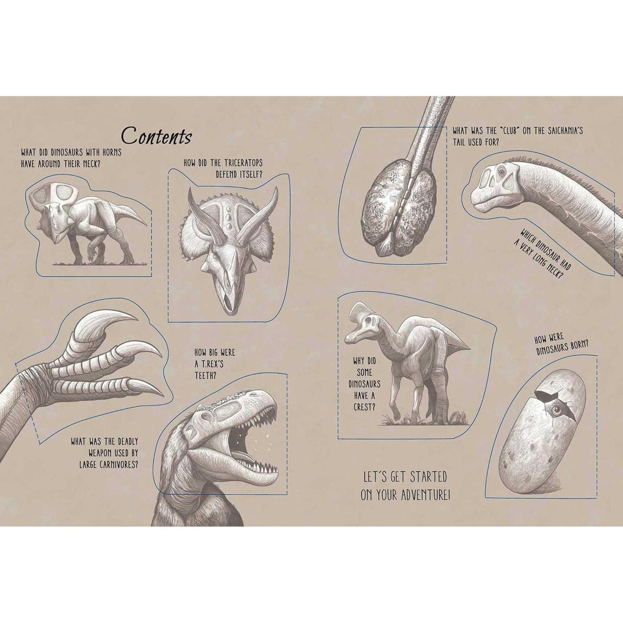 The World of Dinosaurs: Lift the Flap Book