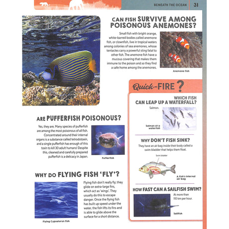 Ultimate Questions & Answers - Animals and Nature