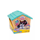 Little Live Pets: My Puppy's Home Minis (Blue/Orange House)