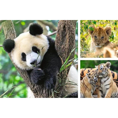 Wildlife 3x49-piece Puzzles
