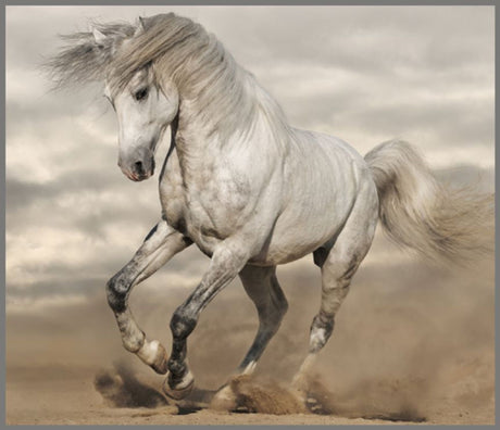 Horse Torch & Projector