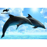 Animal Planet 3D Effect Puzzle - Dolphins