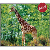 Animal Torch & Projector