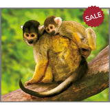 Animal Torch & Projector