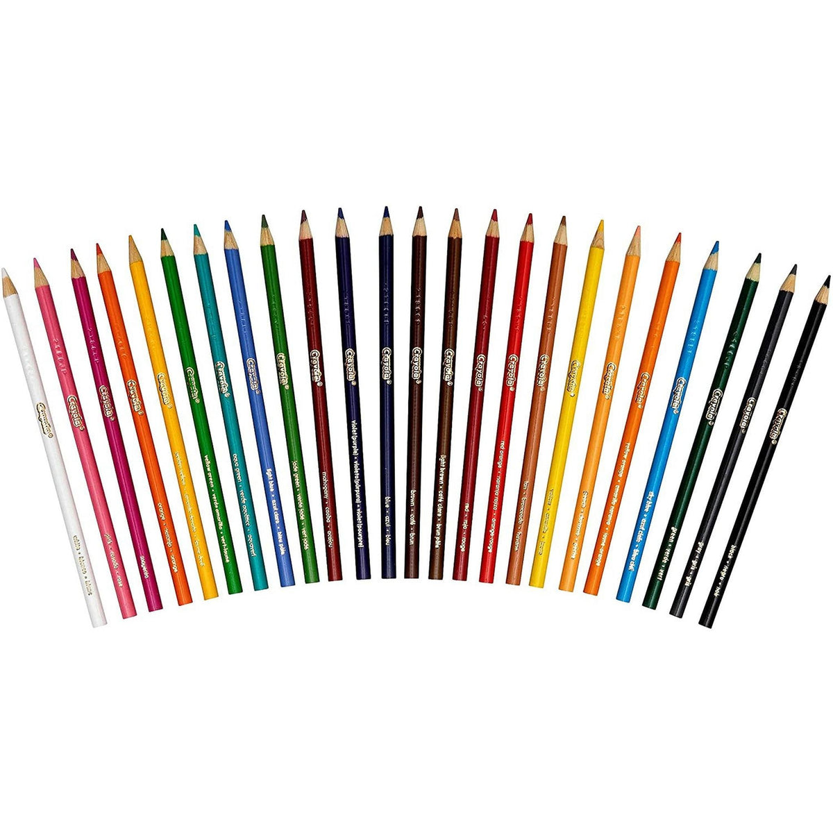 Crayola Coloured Pencils 24 pack