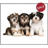 Cute & Cuddly Torch & Projector