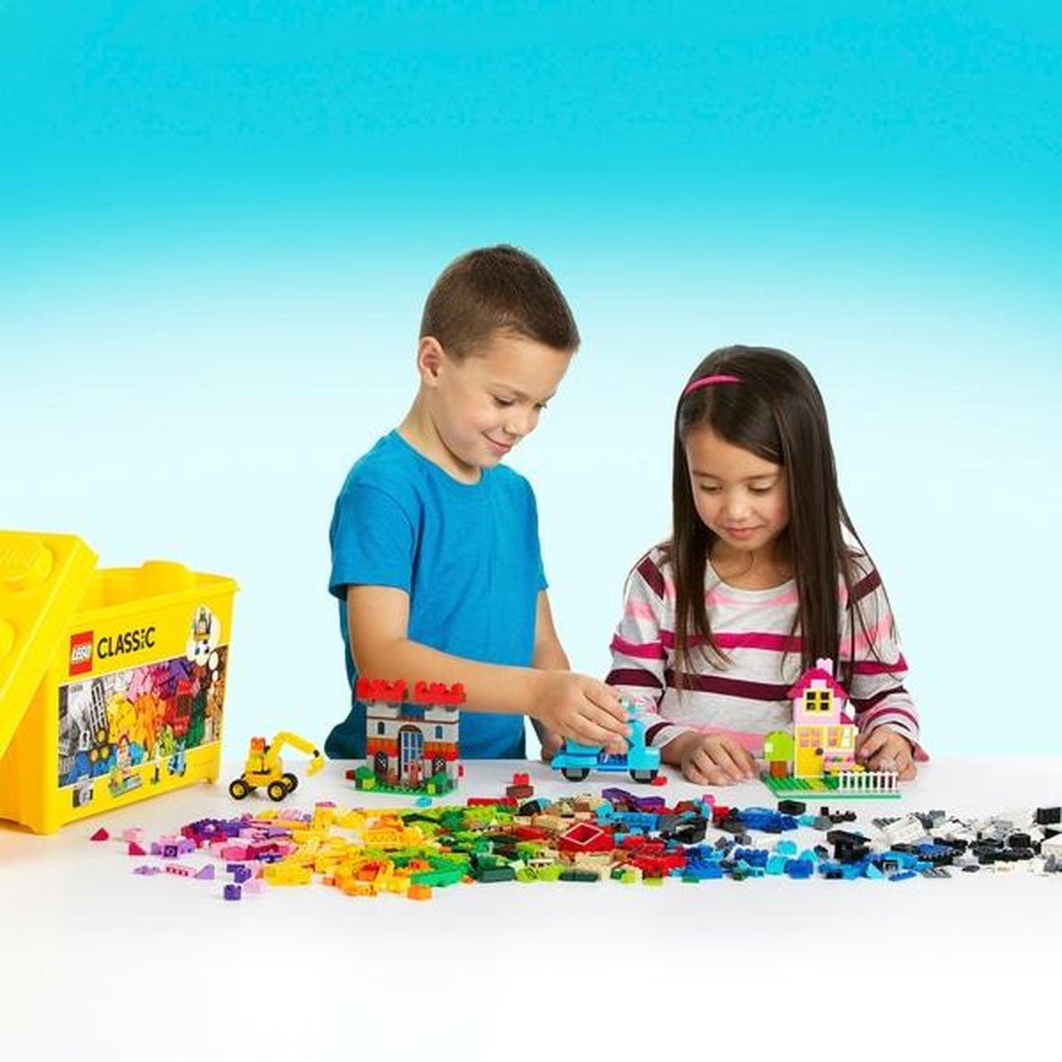 LEGO 10698 Classic Large Creative Brick Box