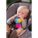 Lamaze Freddie the Firefly Rattle