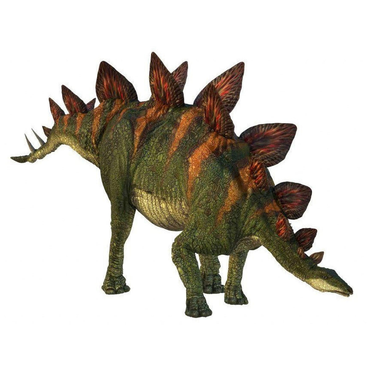 Natural History Museum Dinosaur Picture Viewer