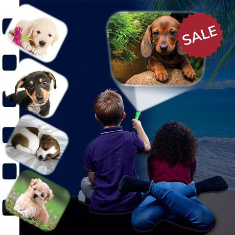 Puppy Torch & Projector
