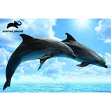 Animal Planet 3D Effect Puzzle - Dolphins - McGreevy's Toys Direct