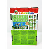 CoComelon Flashcards - Baby - McGreevy's Toys Direct
