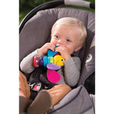 Lamaze Freddie the Firefly Rattle - McGreevy's Toys Direct