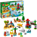 LEGO 10907 World Animals - McGreevy's Toys Direct