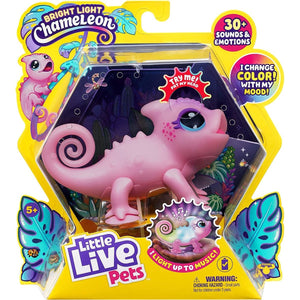 Little Live Pets Lil' Bright Lights Chameleon: Nova - McGreevy's Toys Direct