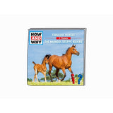 Tonies: How and Why - Fabulous Horses / The Mongol Steppe Riders - McGreevy's Toys Direct
